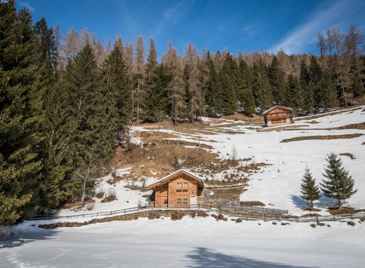 Chalet Bambi Villa Rabbi Luaran gambar