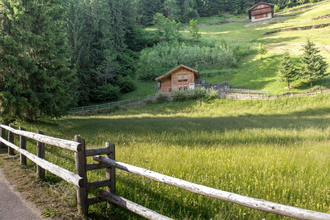 Chalet Bambi Villa Rabbi Luaran gambar