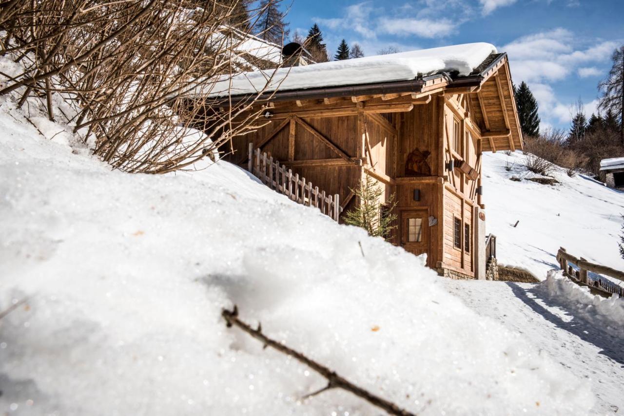 Chalet Bambi Villa Rabbi Luaran gambar